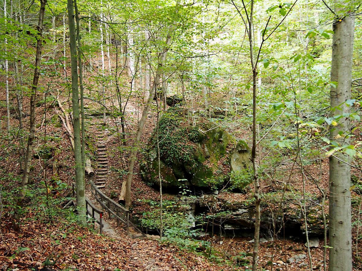 Carter Caves State Resort Park Olive Hill Luaran gambar